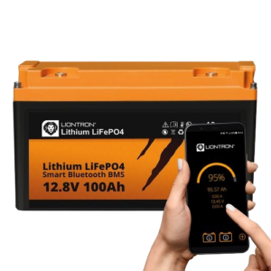 LIONTRON LiFePO4 12,8V 100Ah LX Dummy