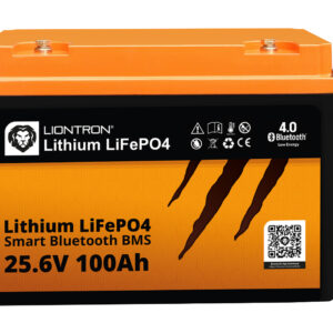 LIONTRON LiFePO4 25,6V 100Ah LX Dummy