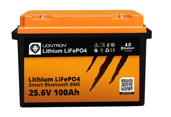 LIONTRON LiFePO4 25,6V 100Ah LX Dummy
